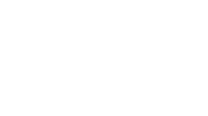 Logo 12